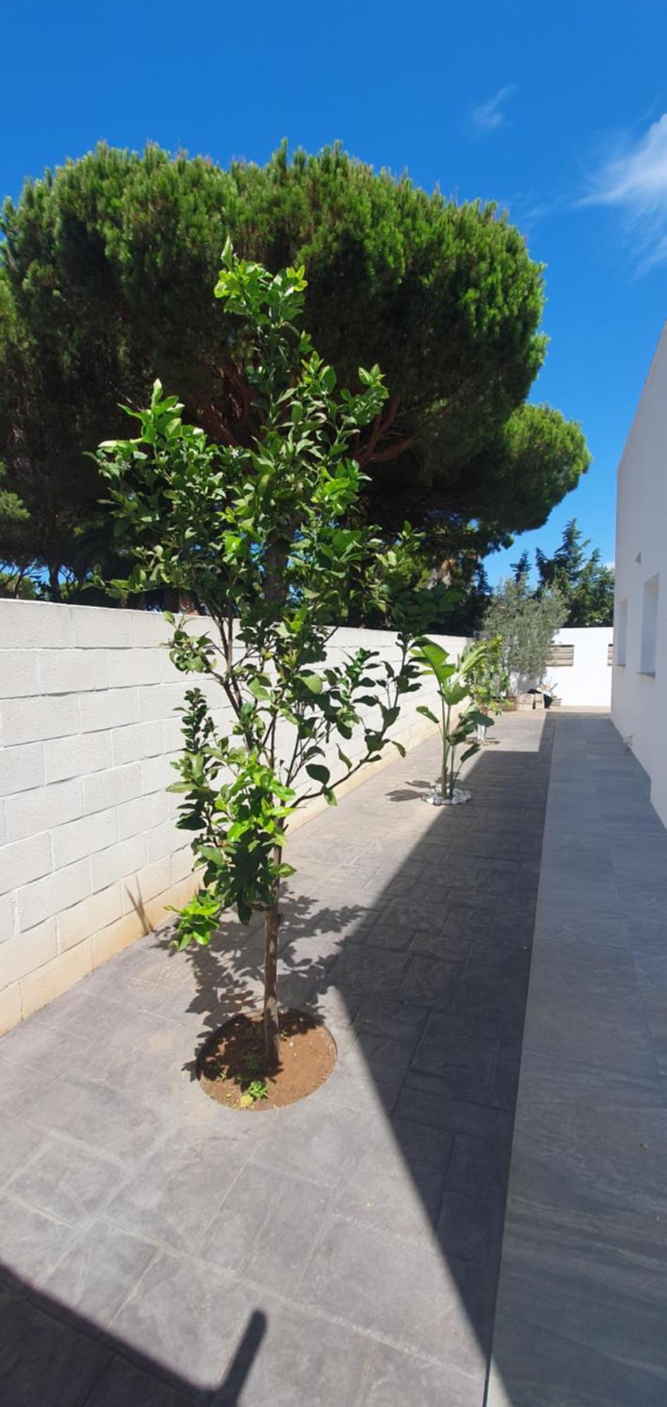 Villa Cristal Chiclana de la Frontera Eksteriør bilde